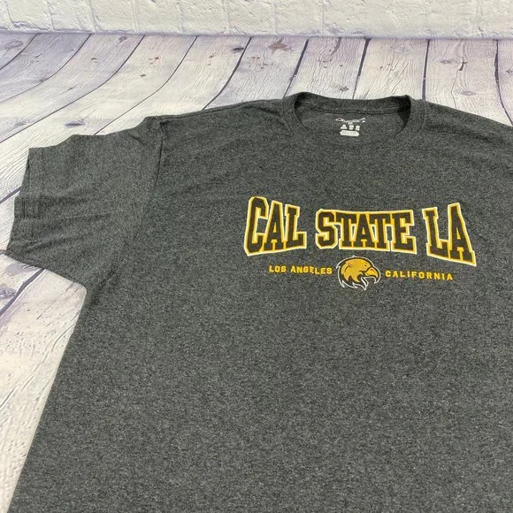 Champion Men's Relaxed Fit Jersey Tshirt Gray Tee - Picture 3 of 8